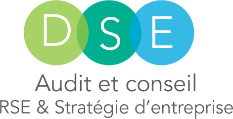 DSE Audit & Conseil