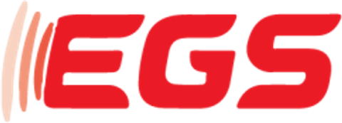 EGS Sécurité